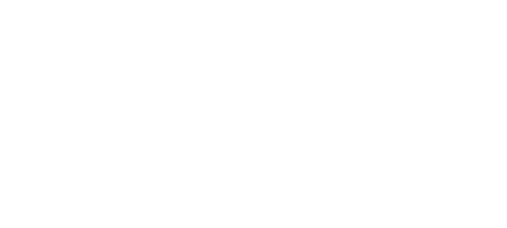 Logo di Argo Logica, con un design contemporaneo e tecnologico che rappresenta la loro competenza e innovazione nel campo dell'IT, enfatizzando la loro abilità nell'offrire soluzioni personalizzate per l'Information Technology