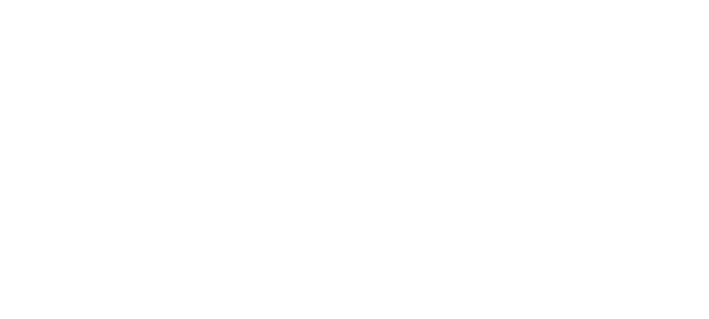 Logo di Brahmino, caratterizzato da un design artistico e moderno che rispecchia la sua identità come influencer visivo e storyteller, sottolineando la sua notorietà e creatività nel mondo dei social media