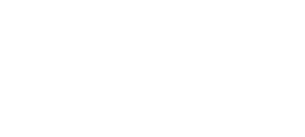 Logo di Shizen, con un design semplice e naturale che riflette il loro impegno per la sostenibilità e la qualità, simboleggiando la loro specializzazione in prodotti tessili organici e ecologici
